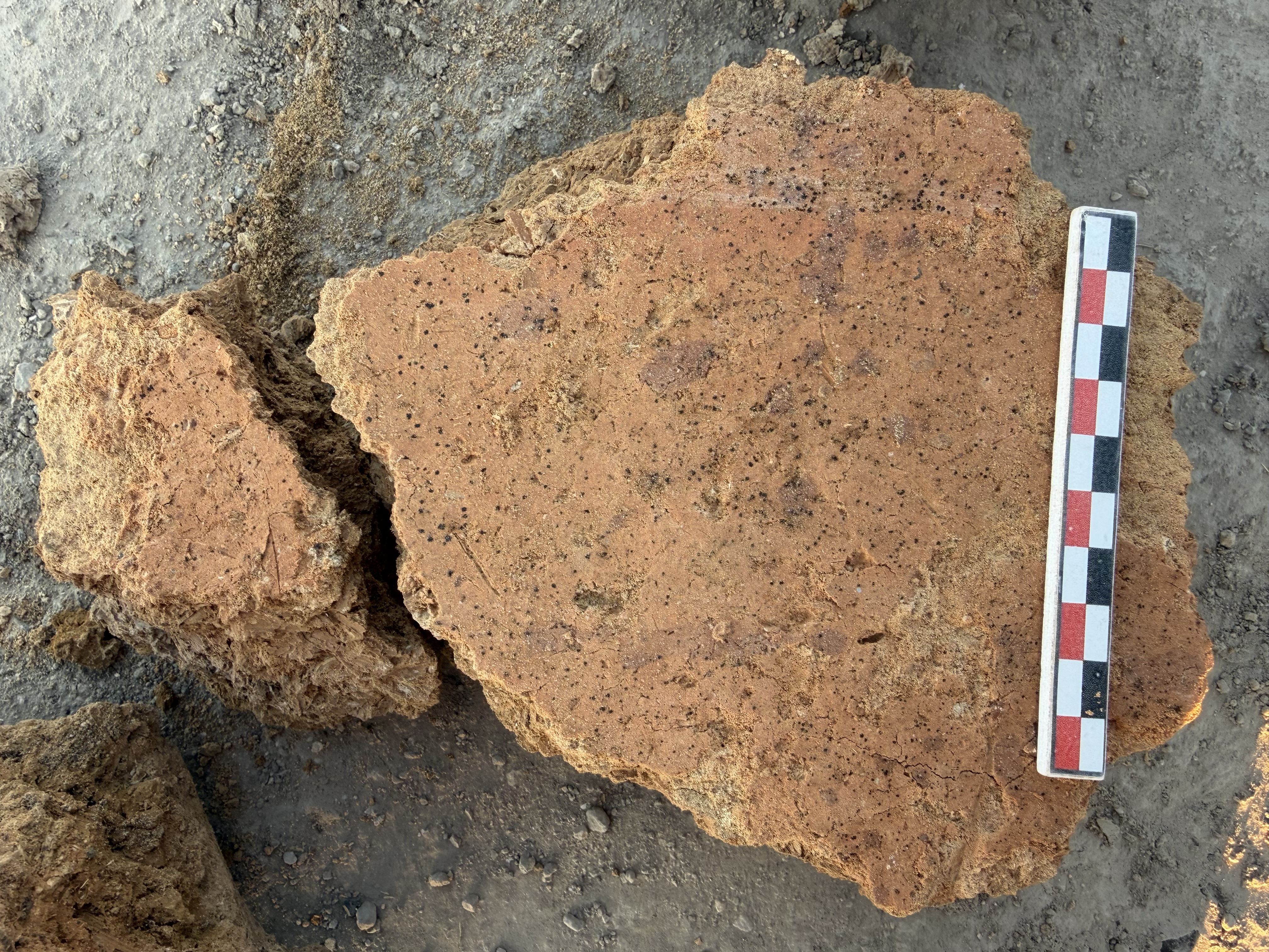 Colors of the Late Chalcolithic
