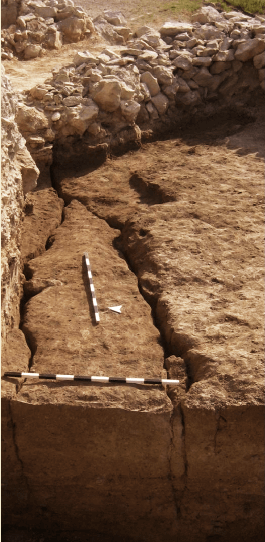 Houses 16, 17 - Middle Chalcolithic; evidence of a devastating earthquake